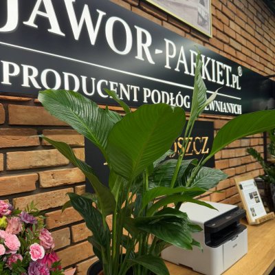 Salon Jawor Parkiet Bydgoszcz 10