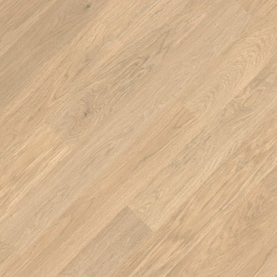 Color Inspiration Dab Color Alba