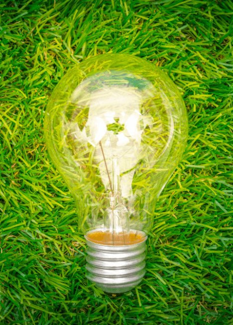 eco concept light bulb grow grass